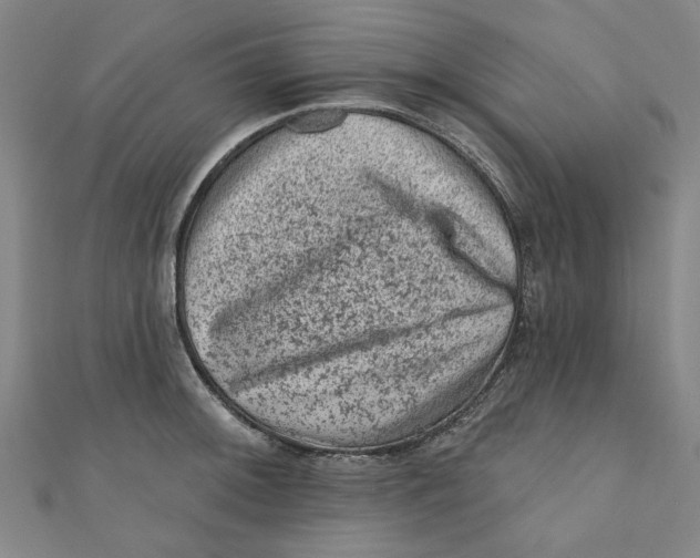 X0000110941092200907101242