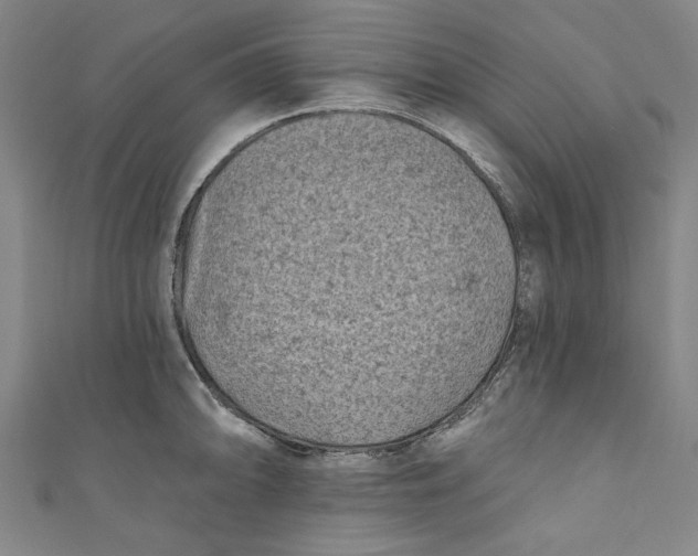 X0000110941094200907101242