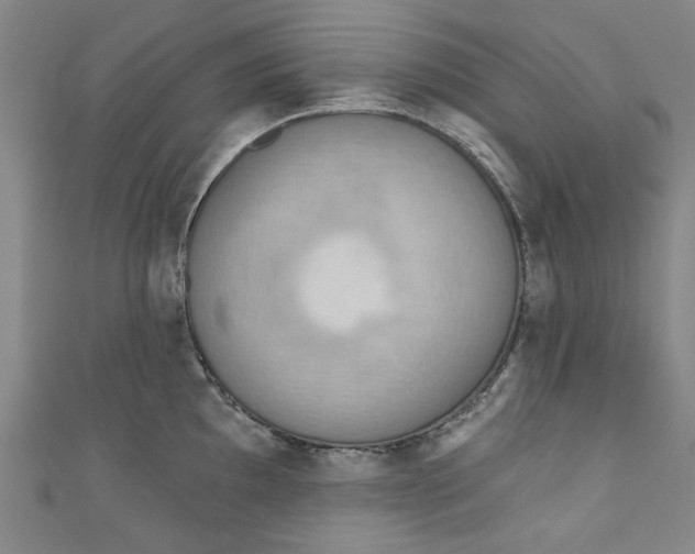 X0000110941097200907101242