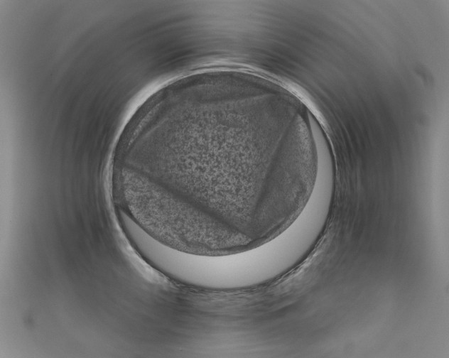 X0000110941098200907101242