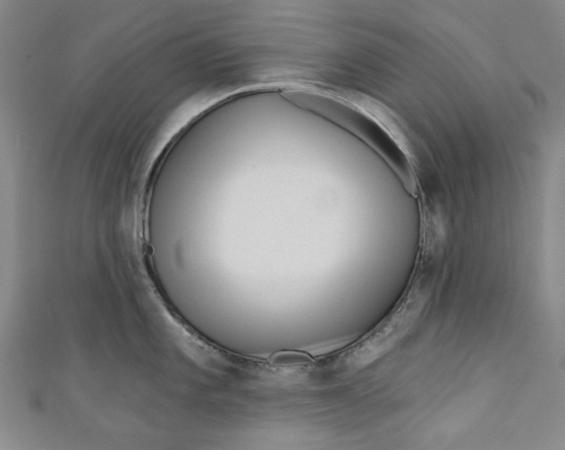 X0000110941101200907101242