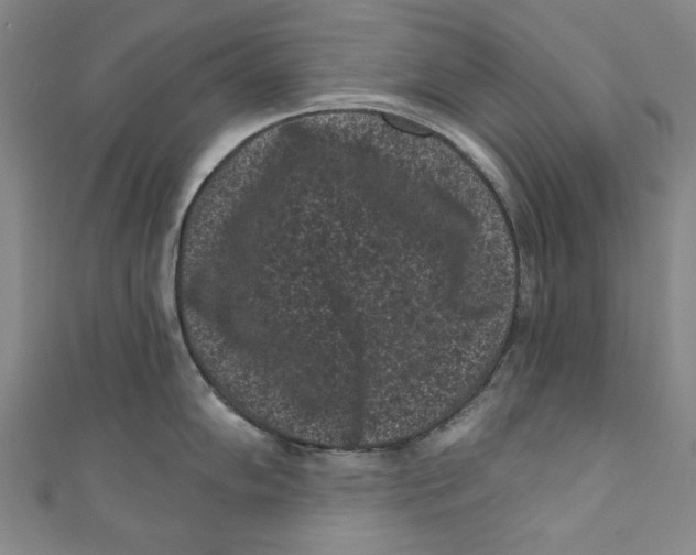 X0000110941102200907101242