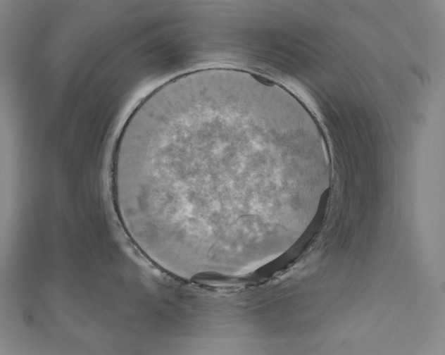 X0000110941104200907101242