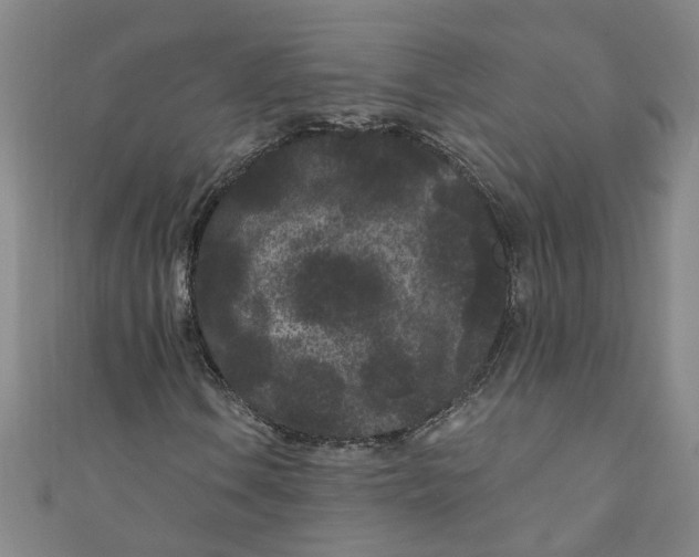 X0000110941106200907101241