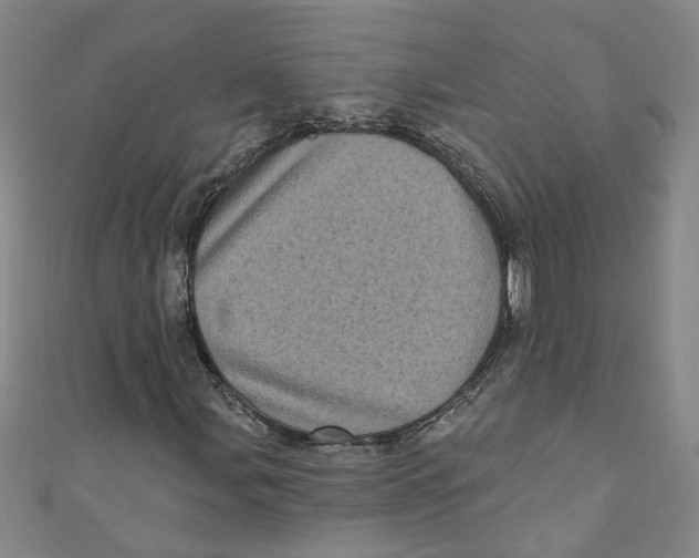 X0000110941107200907101241