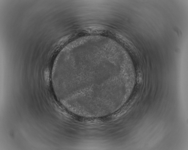 X0000110941108200907101241