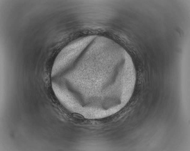 X0000110941109200907101241