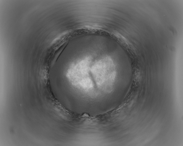 X0000110941110200907101241