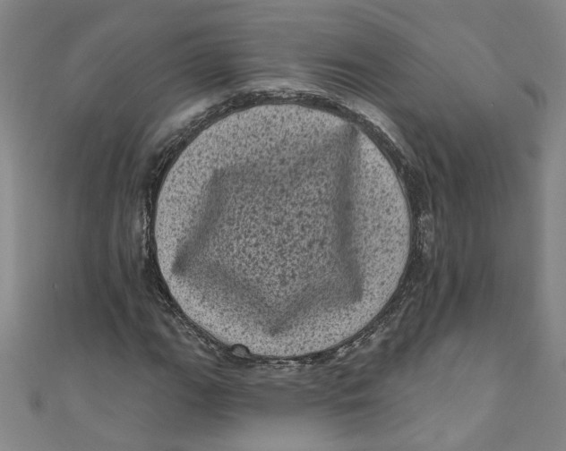 X0000110941111200907101241