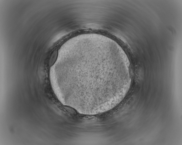 X0000110941112200907101241