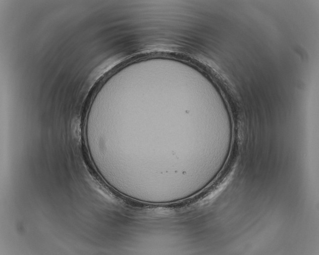 X0000110941113200907101241