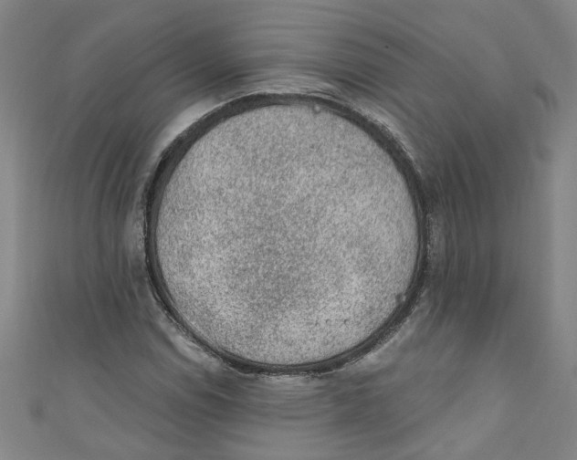 X0000110941114200907101241