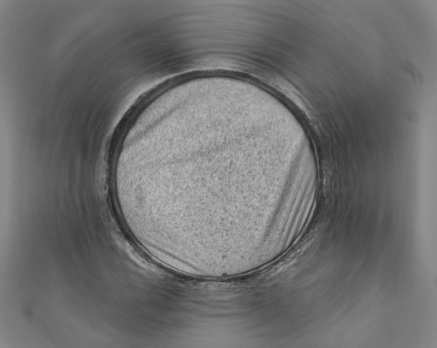 X0000110941116200907101241