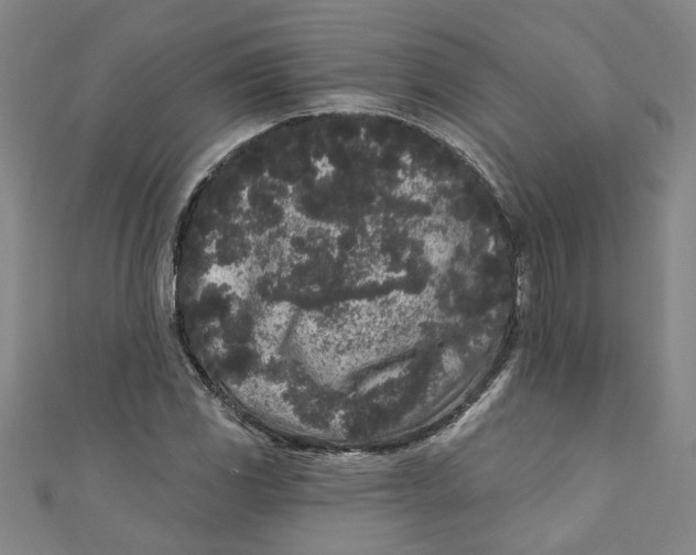 X0000110941117200907101241