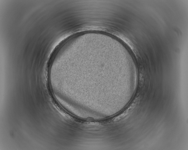 X0000110941119200907101241