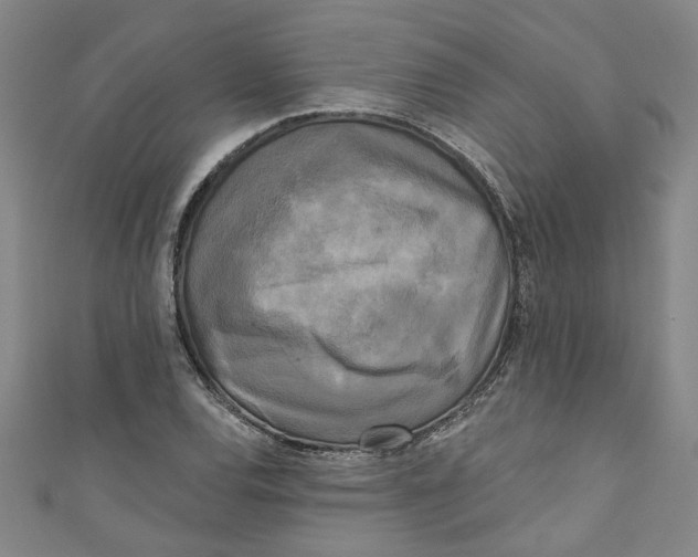 X0000110941120200907101241