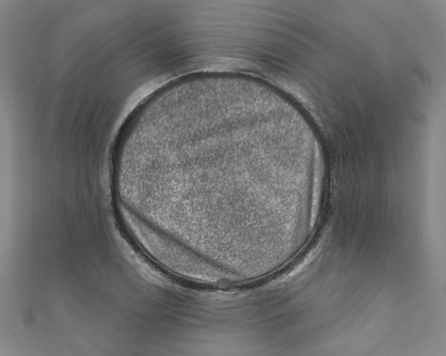 X0000110941122200907101241