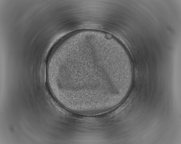 X0000110941123200907101241