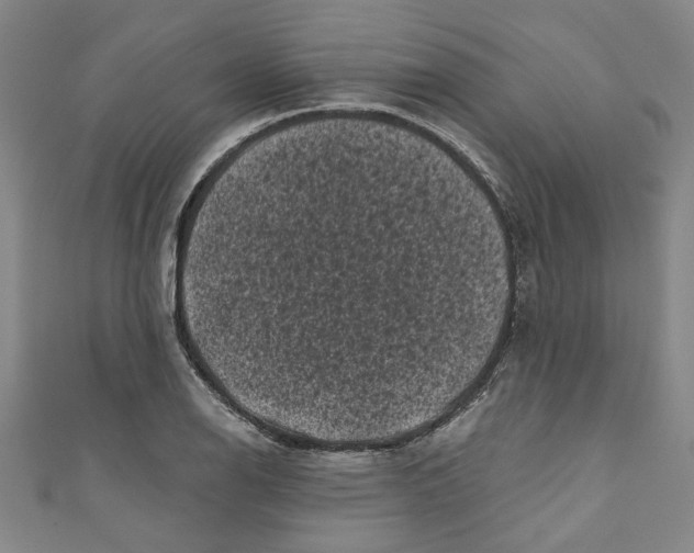 X0000110941126200907101241