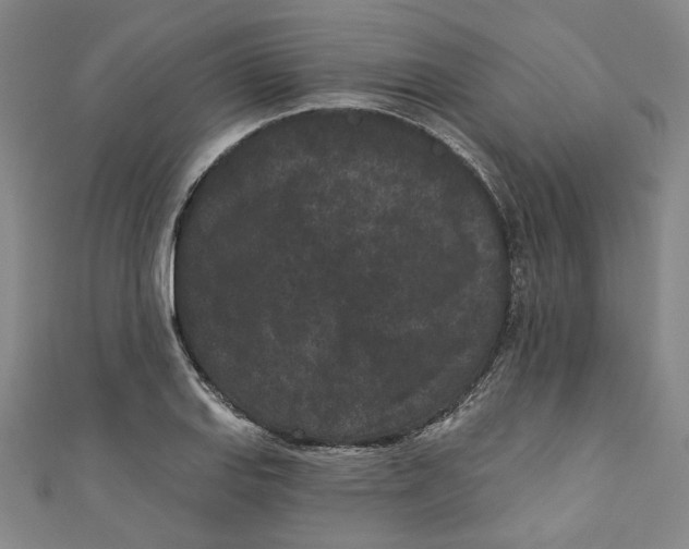 X0000110941127200907101241