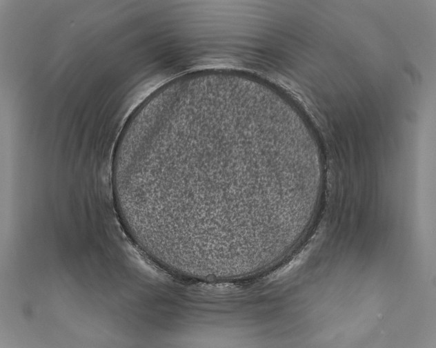 X0000110941129200907101241