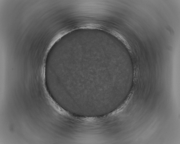 X0000110941130200907101241