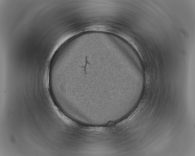 X0000110941131200907101241