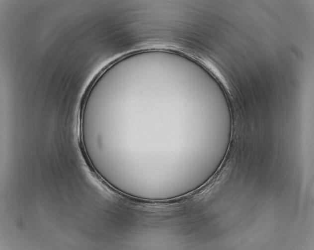 X0000110941132200907101241