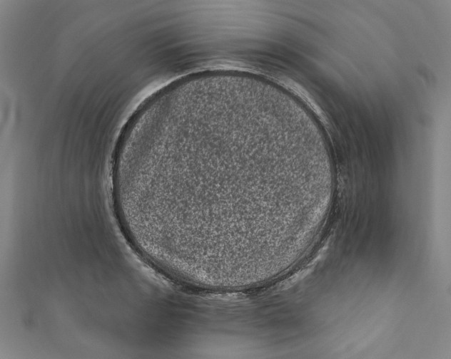 X0000110941133200907101241