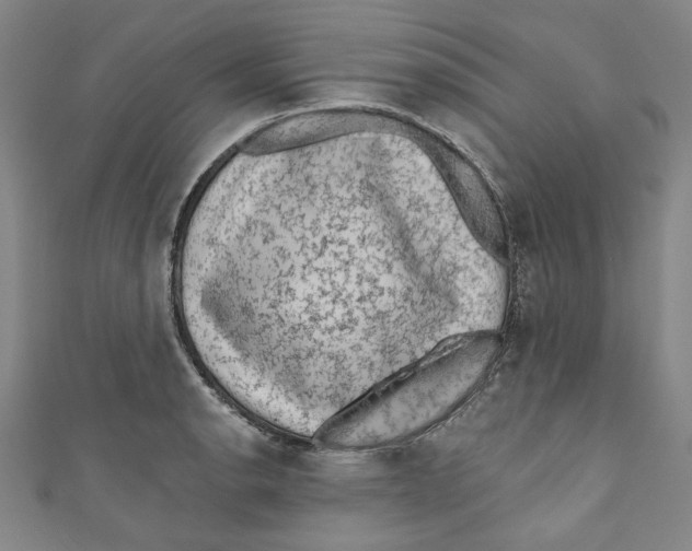 X0000110941134200907101241