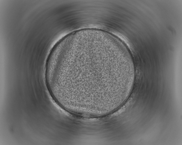 X0000110941135200907101241