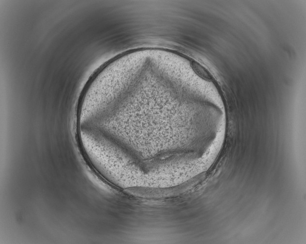 X0000110941136200907101241