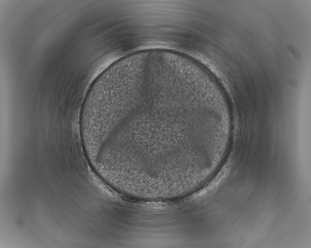 X0000110941137200907101242