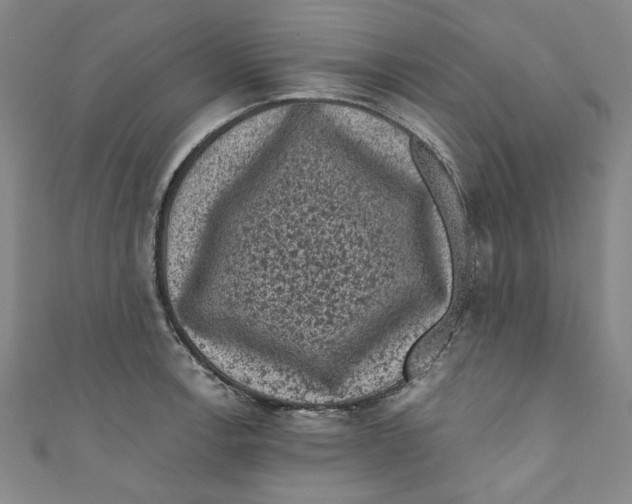 X0000110941138200907101242