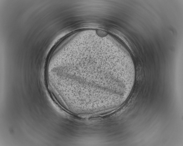 X0000110941139200907101242