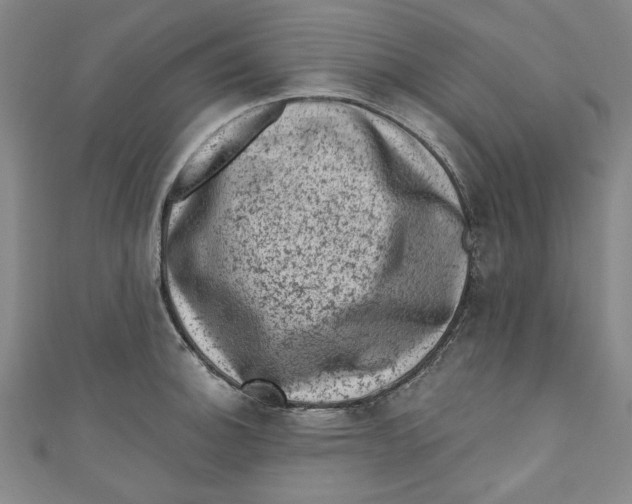 X0000110941140200907101242