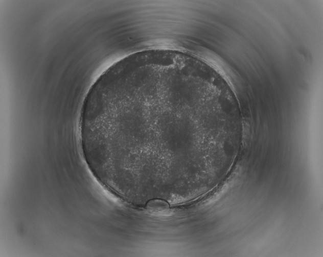 X0000110941141200907101242