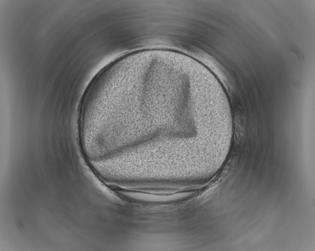 X0000110941142200907101242