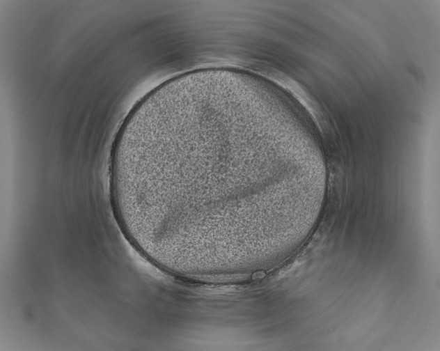 X0000110941143200907101242