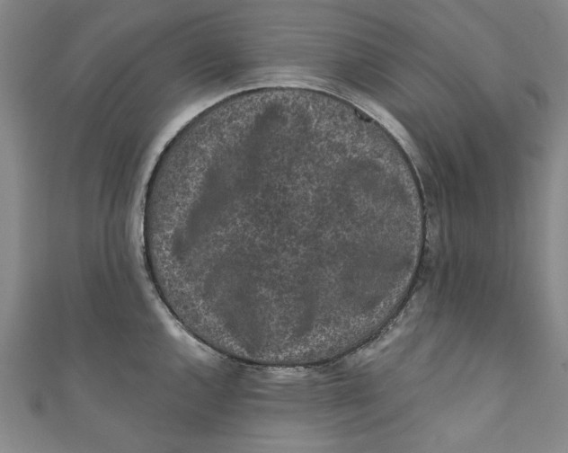 X0000110941144200907101242