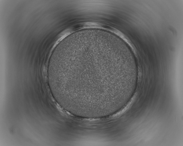 X0000110941145200907101242