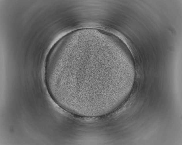 X0000110941147200907101242