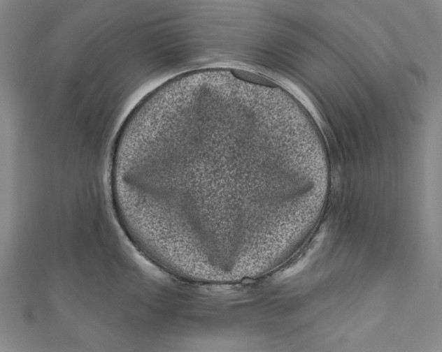 X0000110941149200907101242