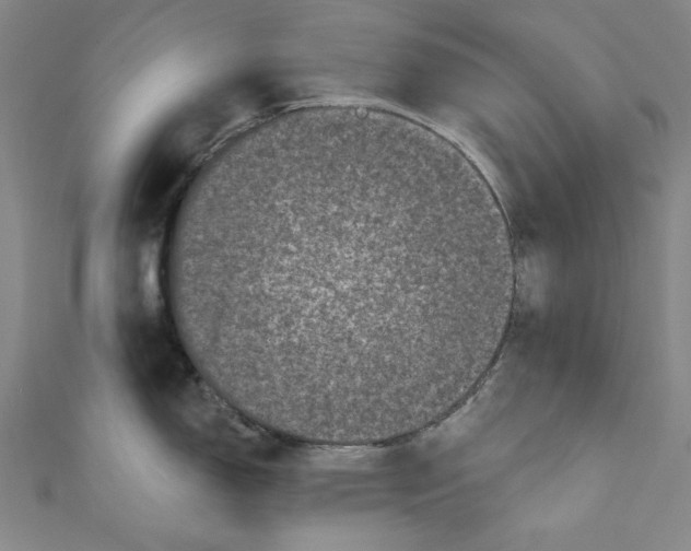 X0000110941150200907101242