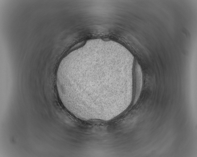 X0000110941153200907101241