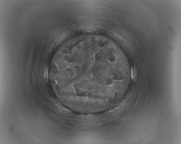 X0000110941155200907101241