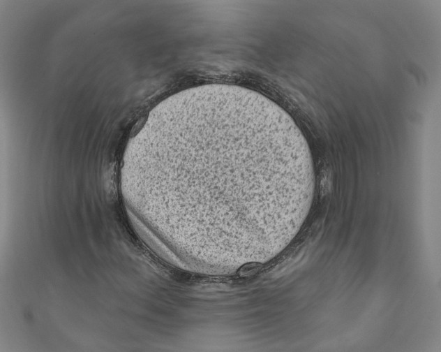 X0000110941156200907101241