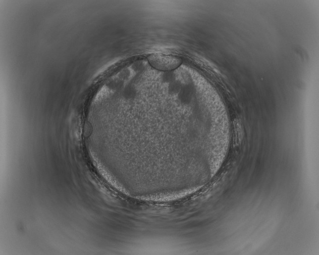 X0000110941158200907101241