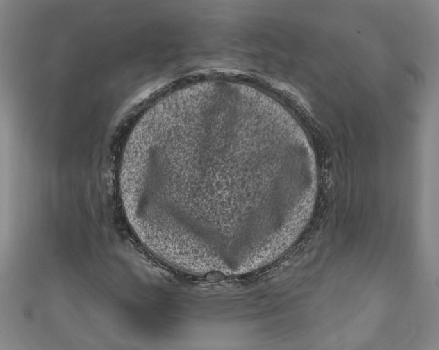 X0000110941159200907101241