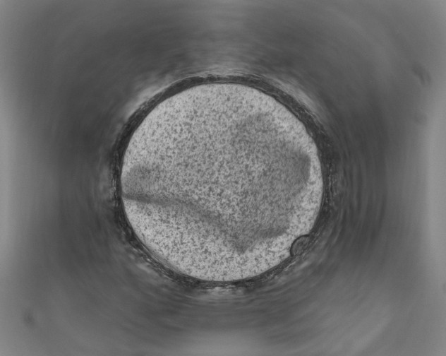 X0000110941160200907101241